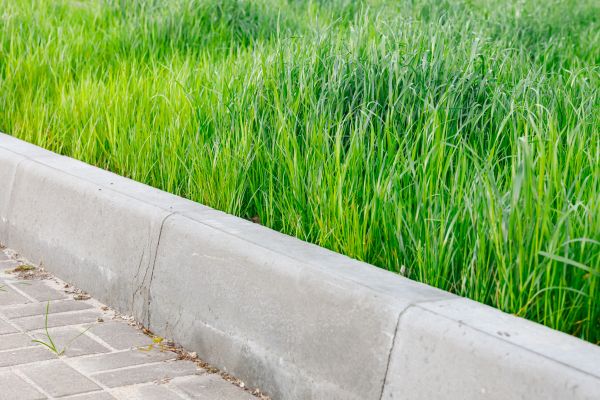 Cost of Concrete Curb Repair in Fairhope