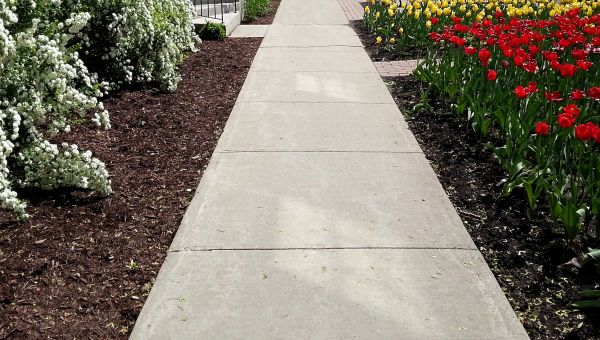 Concrete Pathway Repair in Fairhope
