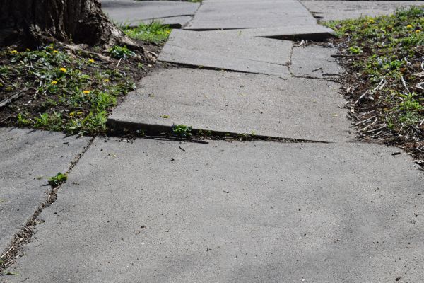 Cost of Trip Hazard Removal in Fairhope